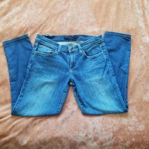 Joe's Jeans Honey fit distressed blue - RN# 106214   CA#35037